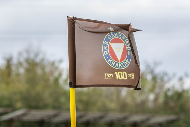 球队战术的 球队战术的