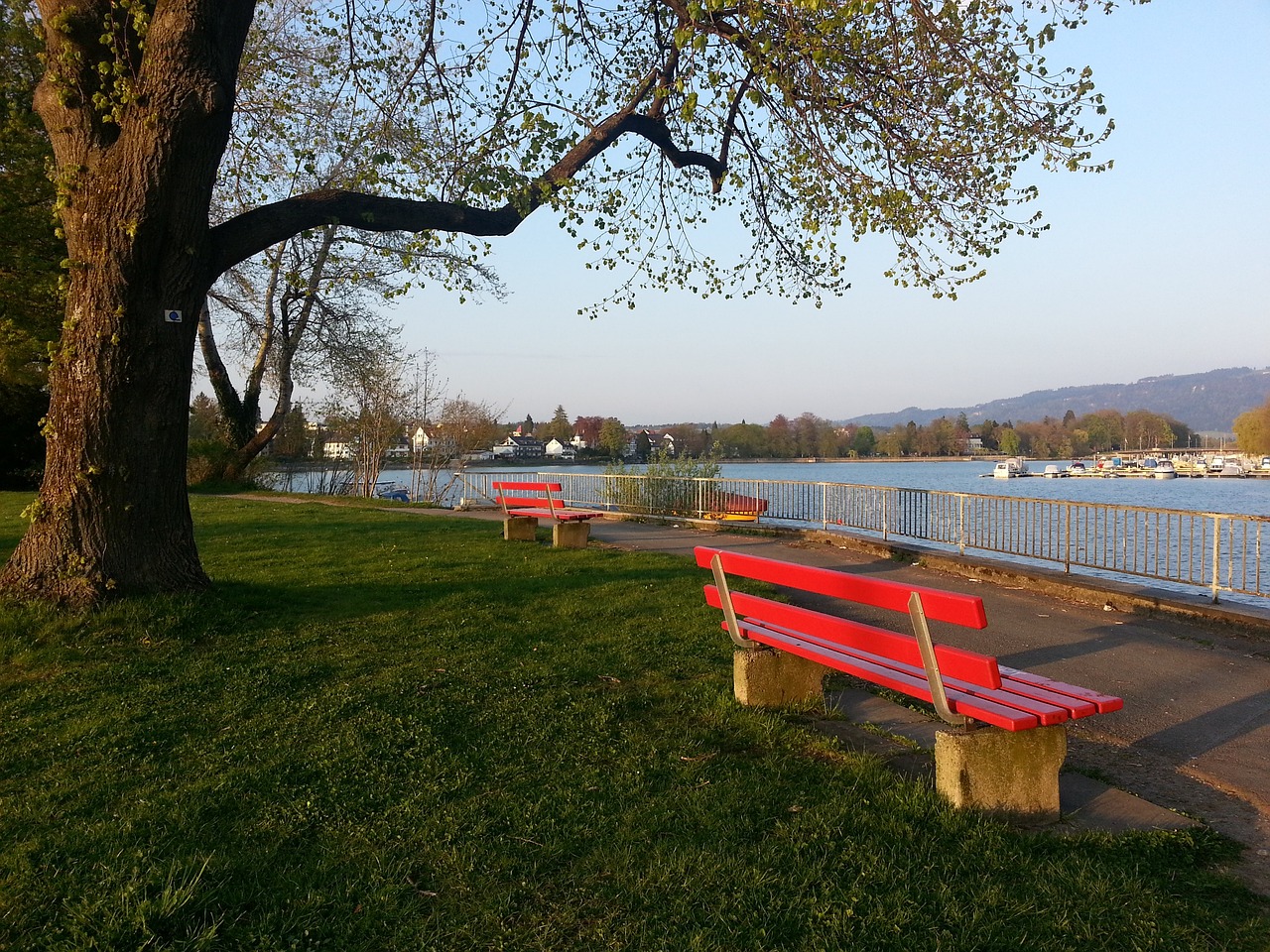 他的表现吸 他的表现吸