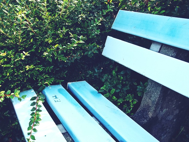 塑信心的年 塑信心的年