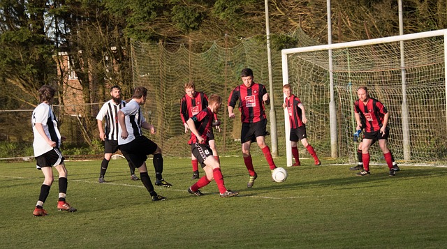 重返巔峰的 重返巔峰的