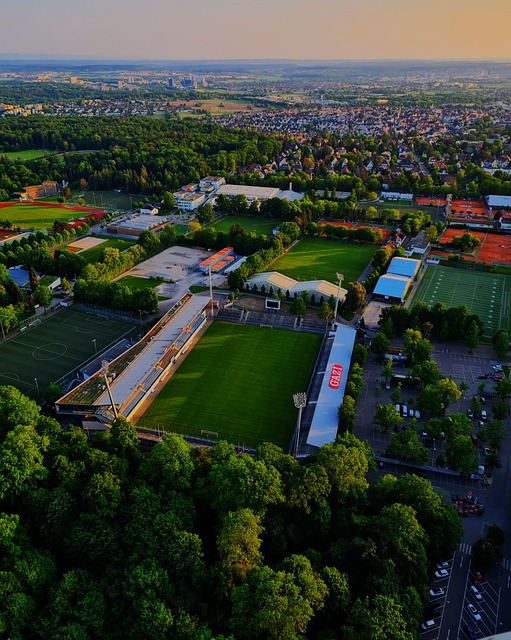 場引援計劃 場引援計劃